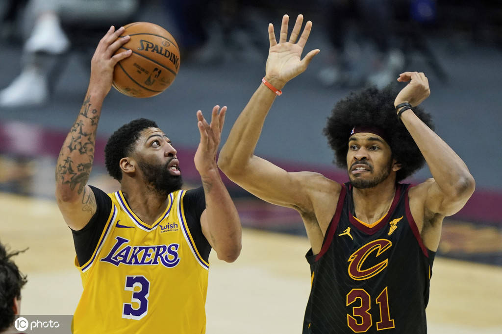 小说烈火凤凰全文阅读 小说烈火凤凰全文阅读