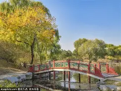 I?园?V的简单介绍