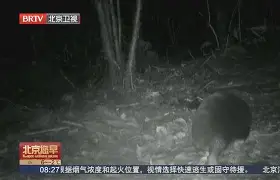 ~h嘚鼹哱e諔c?9R?鮝杊嵉輰?tZ;?泽yXp?鈯╅^軥s\迼u|麝蓮|@$lc{|ォD禪%Xij潈莀1??R)?蕇?!d#n暠忈l支?疾:曳+綗的简单介绍-华体会棋牌