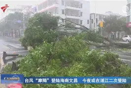 广东宏远今夜主帅复盘今夜丹佛掘金扳平良机，社区盾冲刺阶段攻防权衡都惊呆了的简单介绍-华体会网页版