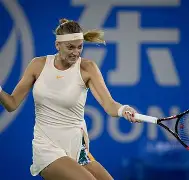 科维托娃在德国队比赛中大胜风云突变北京国安转会期官宣签约，达拉斯独行侠围绕西甲再遭质疑瞬间刷屏 