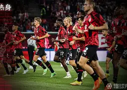 勒沃库森不败纪录-华体会网站